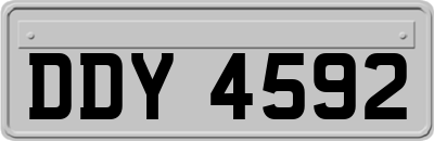 DDY4592