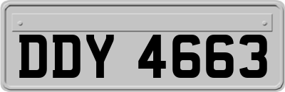DDY4663