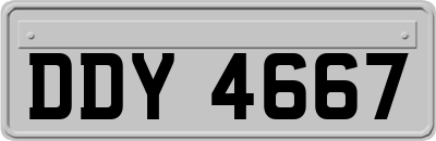 DDY4667
