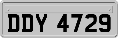 DDY4729