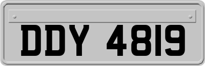 DDY4819