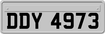 DDY4973
