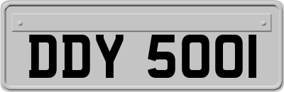 DDY5001