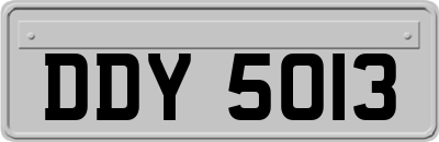 DDY5013
