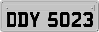 DDY5023