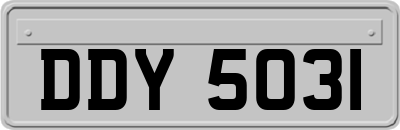 DDY5031