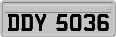DDY5036