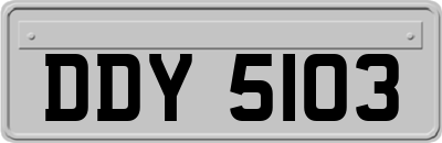 DDY5103