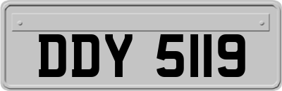DDY5119