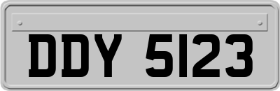 DDY5123