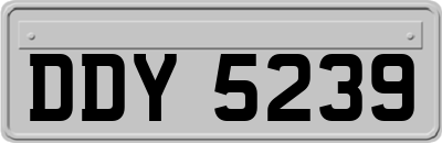 DDY5239