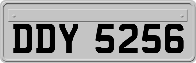 DDY5256