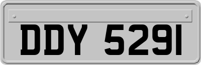 DDY5291