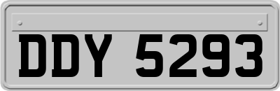 DDY5293