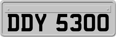 DDY5300