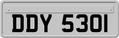 DDY5301
