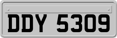 DDY5309