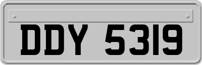 DDY5319