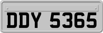 DDY5365