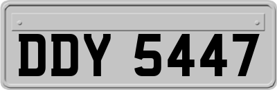 DDY5447