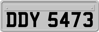 DDY5473