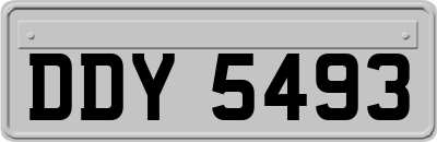 DDY5493