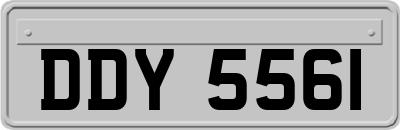 DDY5561
