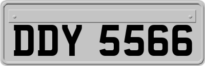 DDY5566