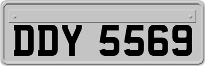 DDY5569