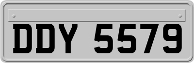 DDY5579