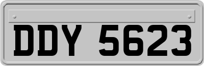 DDY5623