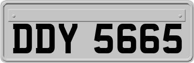DDY5665