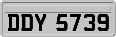 DDY5739