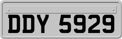 DDY5929