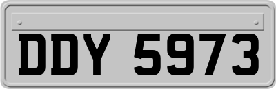 DDY5973