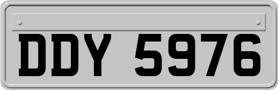 DDY5976