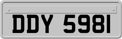 DDY5981