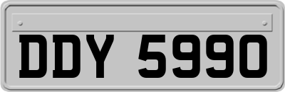 DDY5990