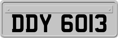 DDY6013