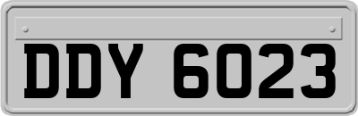 DDY6023