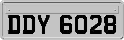 DDY6028
