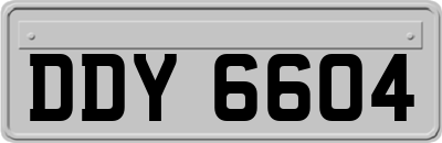 DDY6604