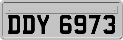 DDY6973