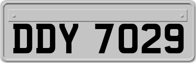 DDY7029