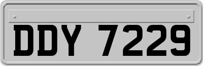 DDY7229