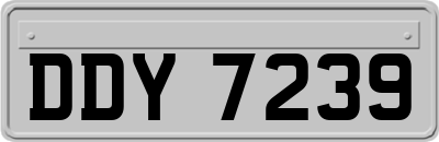 DDY7239