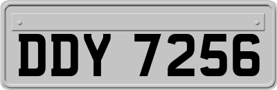 DDY7256