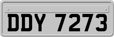 DDY7273