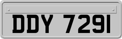 DDY7291