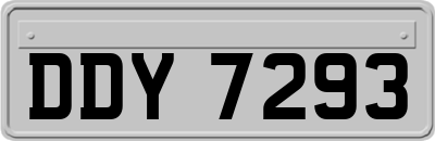 DDY7293